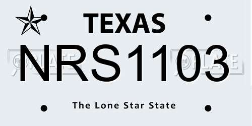 NRS1103 Texas License Plate