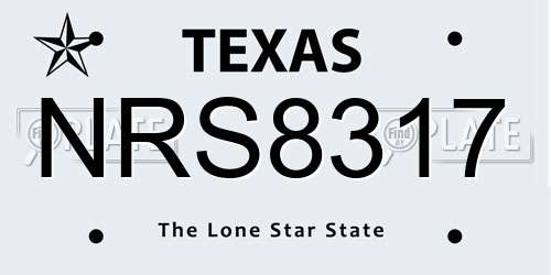 NRS8317 Texas License Plate