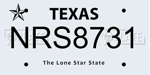 NRS8731 Texas License Plate