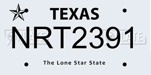 NRT2391 Texas License Plate