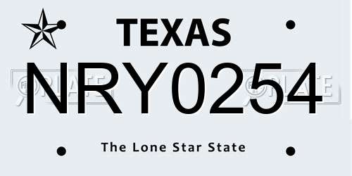 NRY0254 Texas License Plate