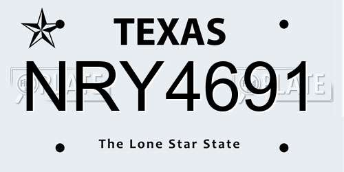 NRY4691 Texas License Plate