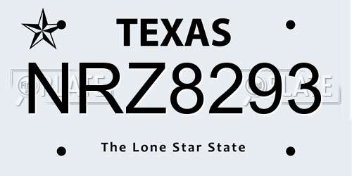 NRZ8293 Texas License Plate