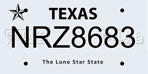 NRZ8683 Texas License Plate