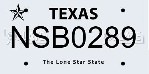 NSB0289 Texas License Plate