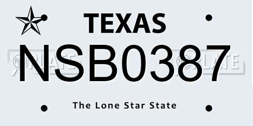 NSB0387 Texas License Plate