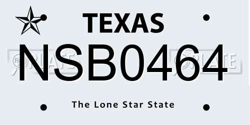 NSB0464 Texas License Plate