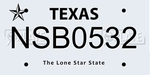 NSB0532 Texas License Plate