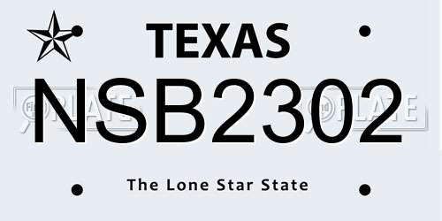 NSB2302 Texas License Plate
