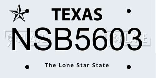 NSB5603 Texas License Plate