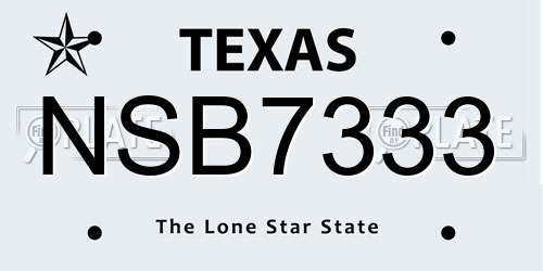 NSB7333 Texas License Plate