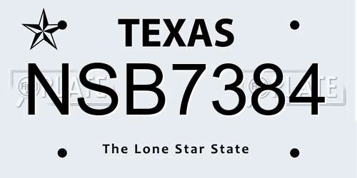 NSB7384 Texas License Plate