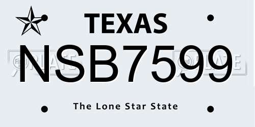 NSB7599 Texas License Plate