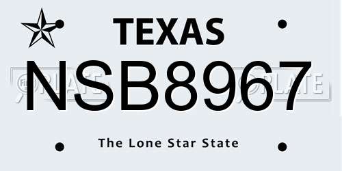 NSB8967 Texas License Plate