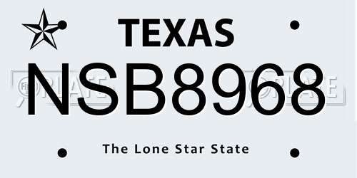 NSB8968 Texas License Plate
