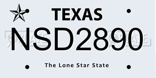 NSD2890 Texas License Plate