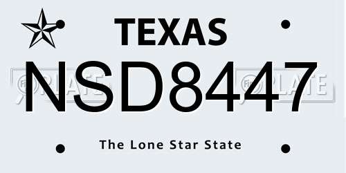 NSD8447 Texas License Plate