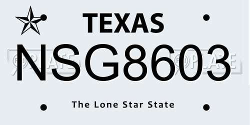 NSG8603 Texas License Plate