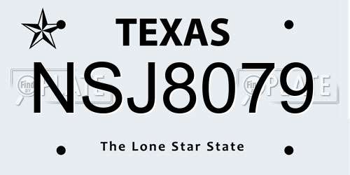NSJ8079 Texas License Plate