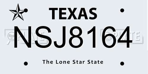 NSJ8164 Texas License Plate