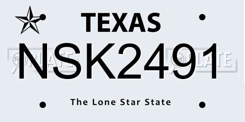 NSK2491 Texas License Plate