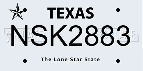 NSK2883 Texas License Plate