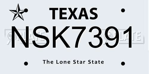 NSK7391 Texas License Plate