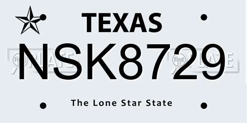 NSK8729 Texas License Plate