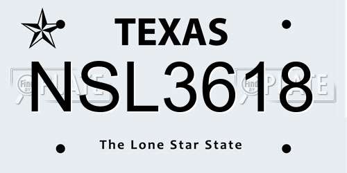 NSL3618 Texas License Plate