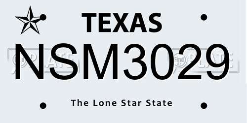 NSM3029 Texas License Plate