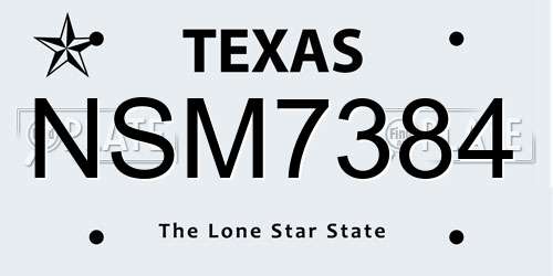 NSM7384 Texas License Plate
