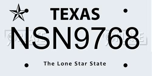 NSN9768 Texas License Plate