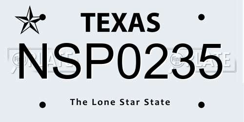 NSP0235 Texas License Plate