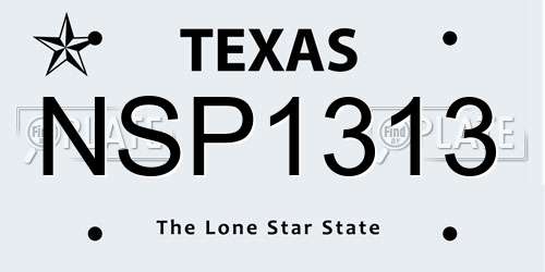 NSP1313 Texas License Plate
