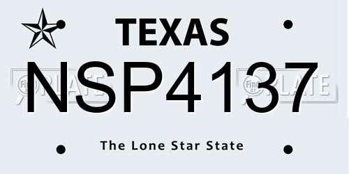 NSP4137 Texas License Plate