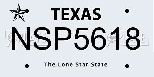 NSP5618 Texas License Plate