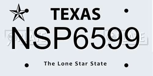 NSP6599 Texas License Plate