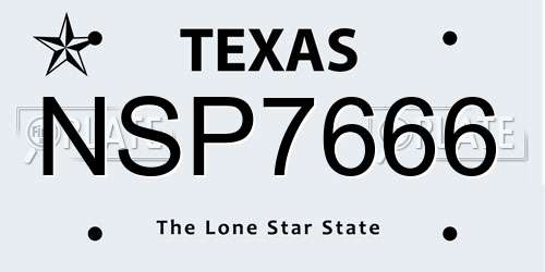 NSP7666 Texas License Plate