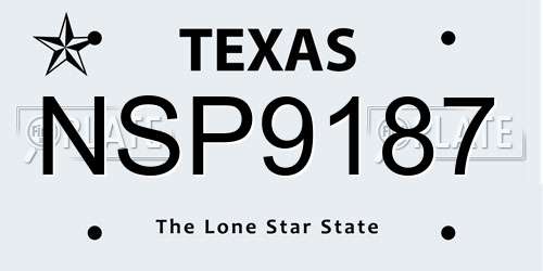 NSP9187 Texas License Plate