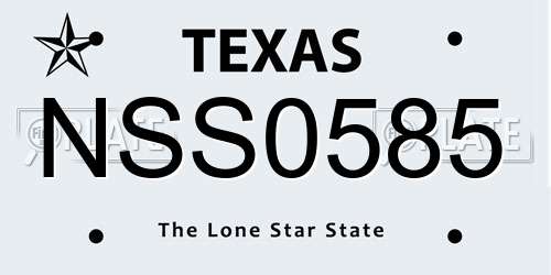 NSS0585 Texas License Plate