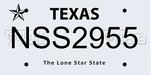 NSS2955 Texas License Plate