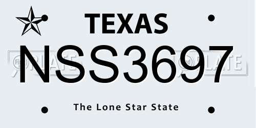 NSS3697 Texas License Plate
