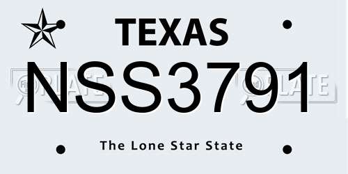 NSS3791 Texas License Plate