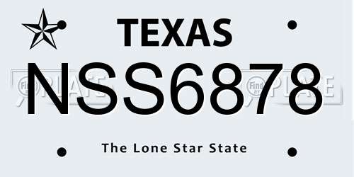 NSS6878 Texas License Plate