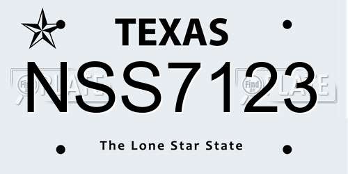 NSS7123 Texas License Plate