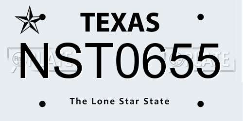 NST0655 Texas License Plate
