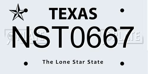 NST0667 Texas License Plate