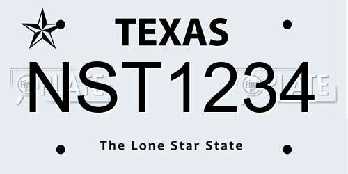 NST1234 Texas License Plate