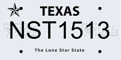 NST1513 Texas License Plate