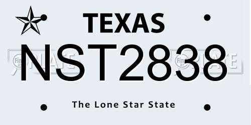 NST2838 Texas License Plate
